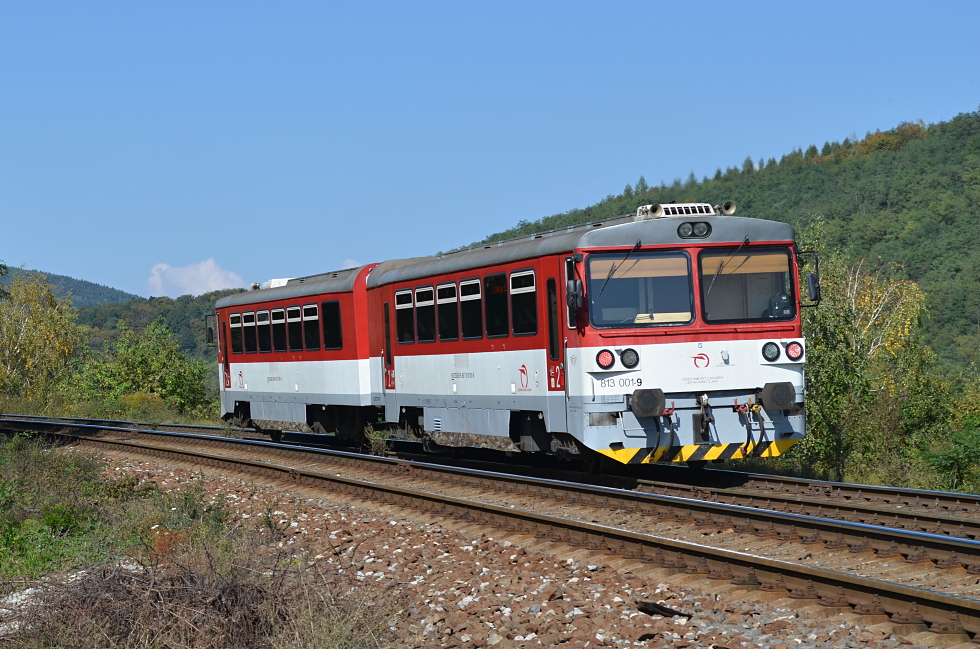 813 001-9
