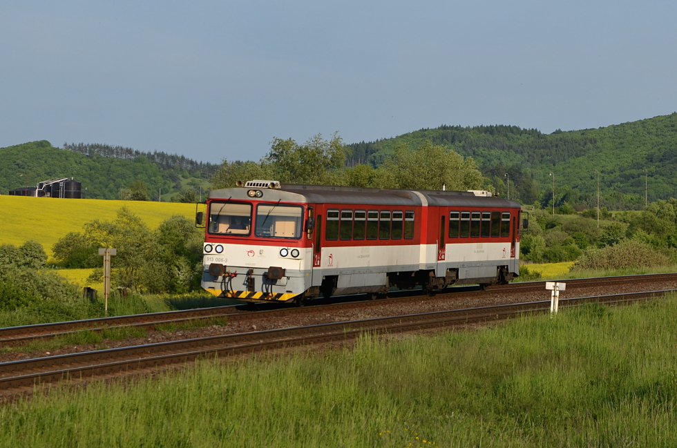 813 006-8