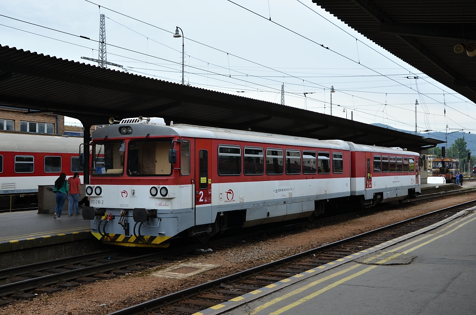 813 016-7