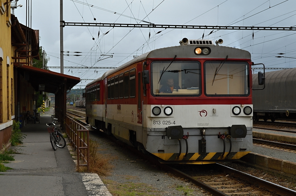 813 025-8