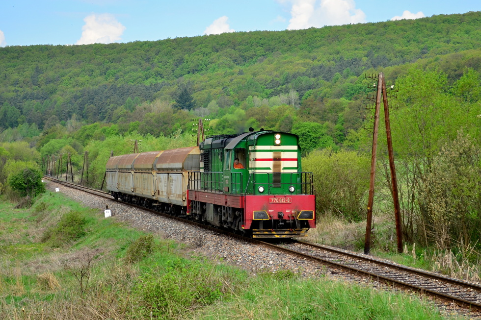 770 613-8
