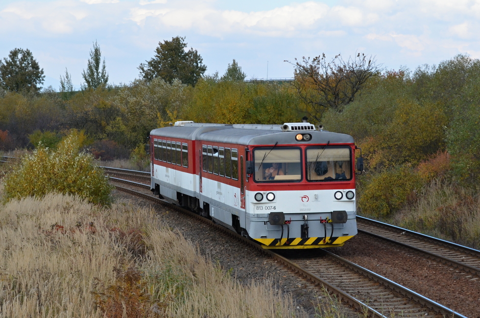 813 007-6