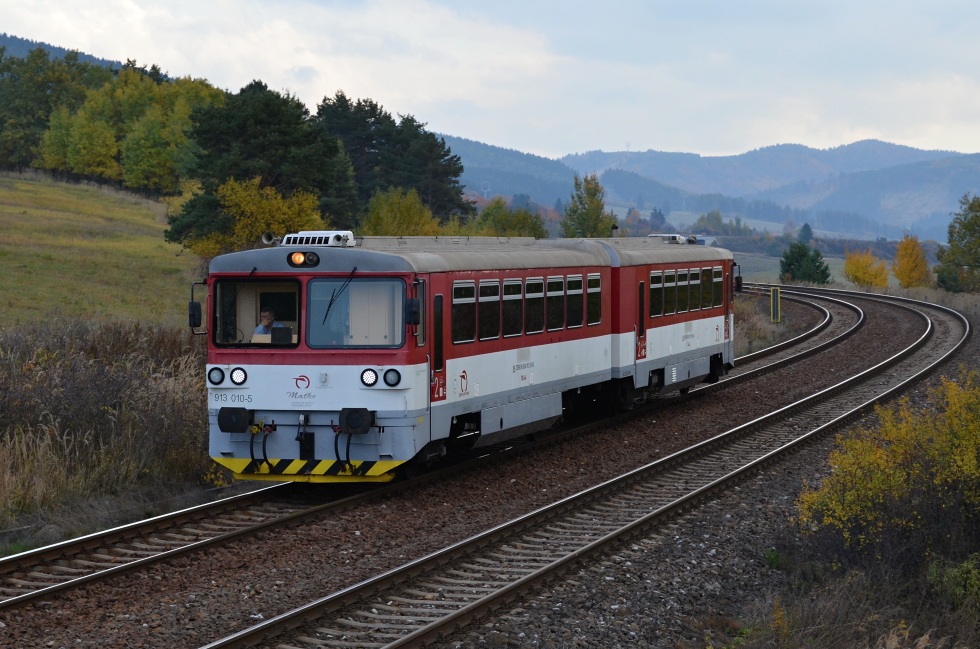 813 010-0