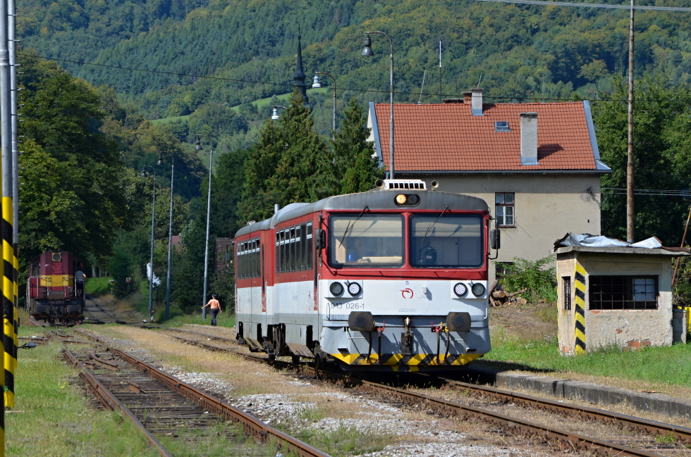 813 026-6
