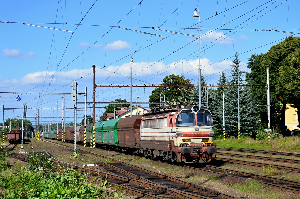230 036-6