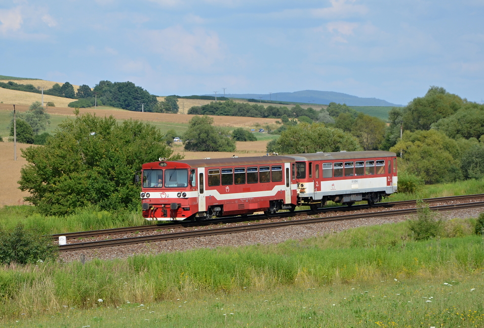 812 037-4