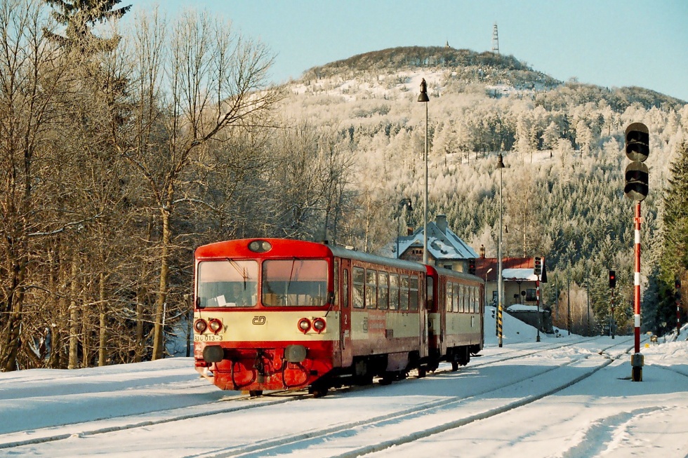 810 013-3