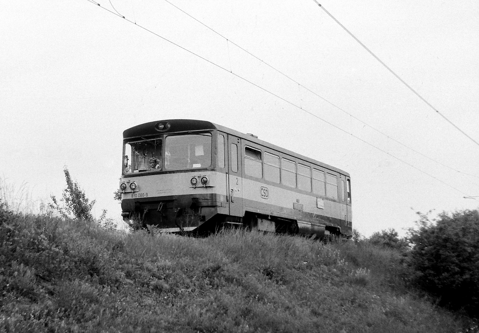 810 086-9