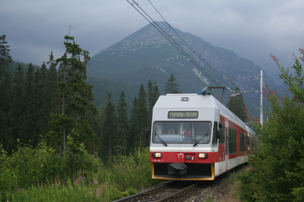 425 955-2