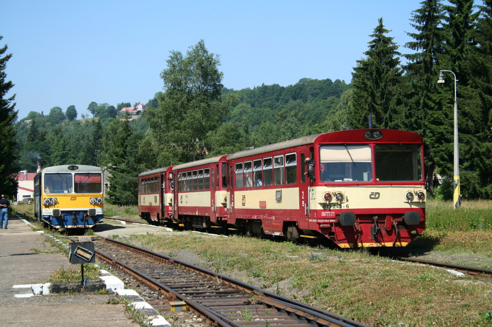 810 243-6