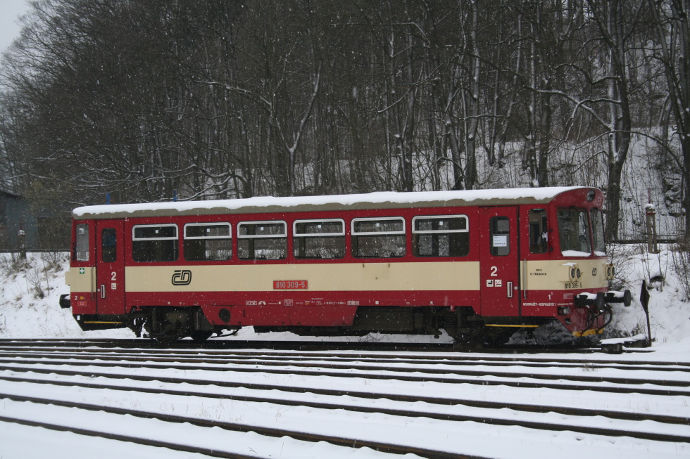 810 309-5