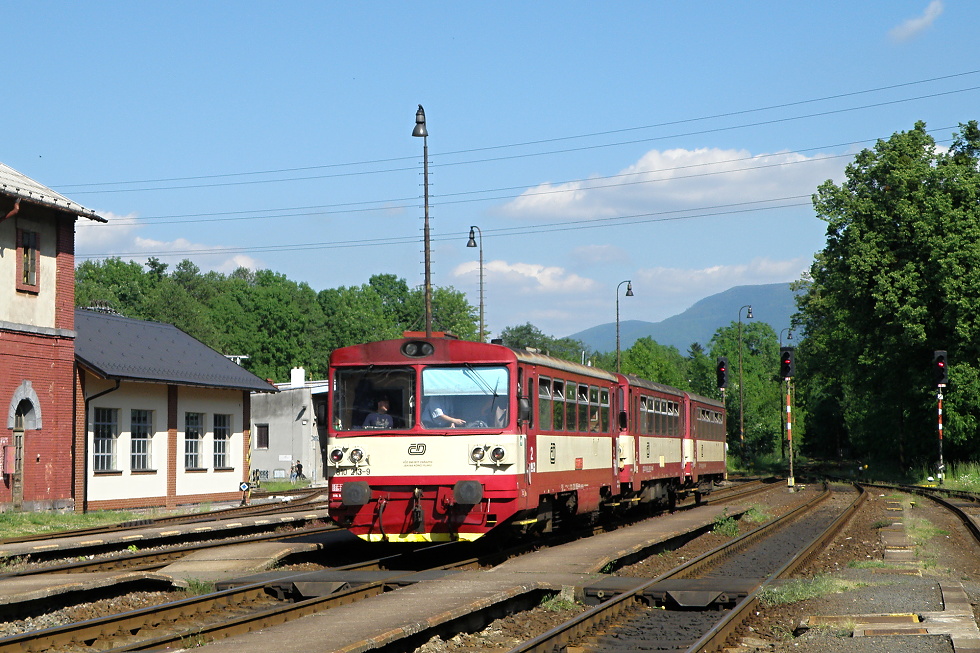 810 213-9