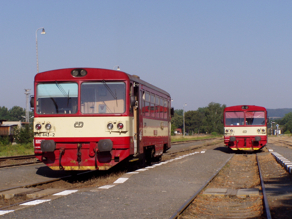 810 443-2