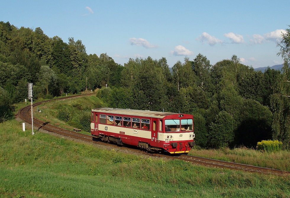 810 161-0