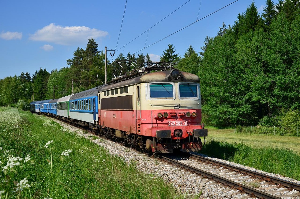 242 205-3