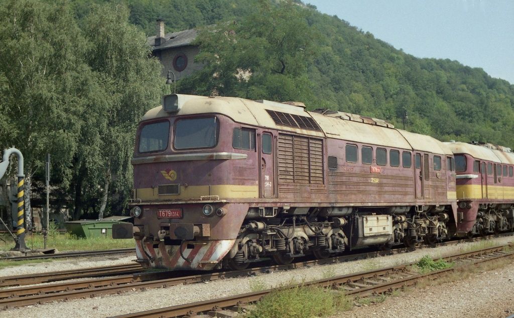 T679.1314