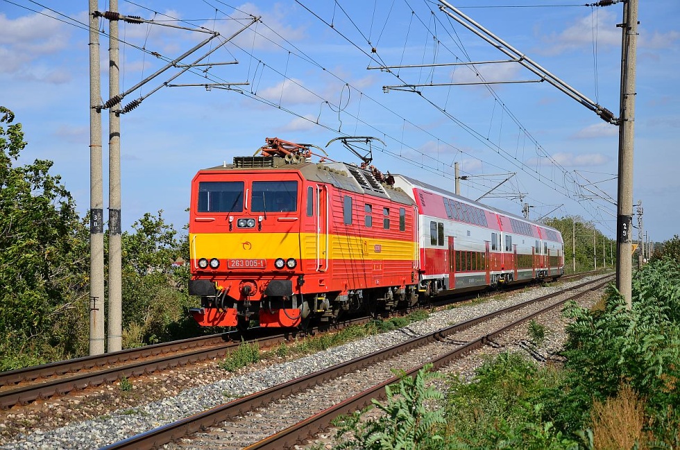 263 005-1