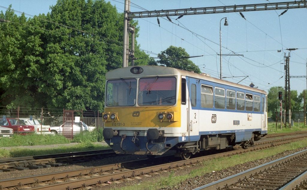810 131-3