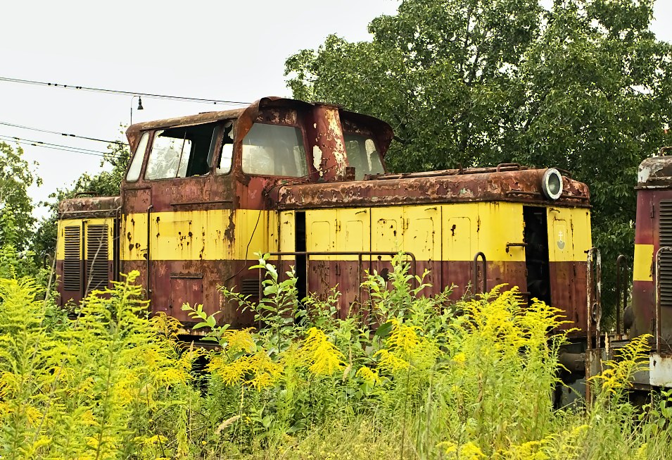 710 644-6