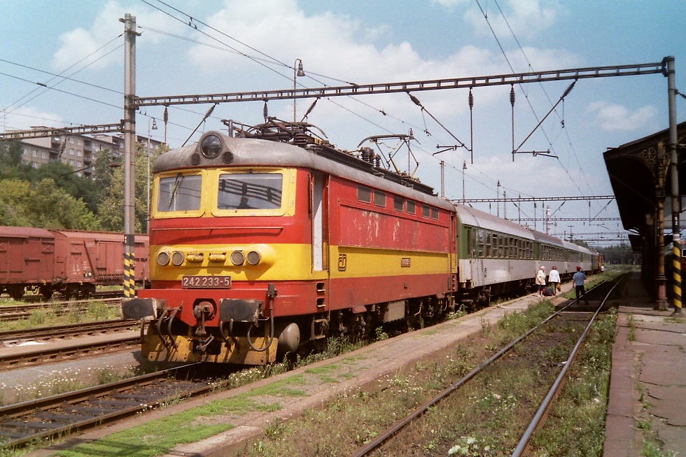 242 233-5