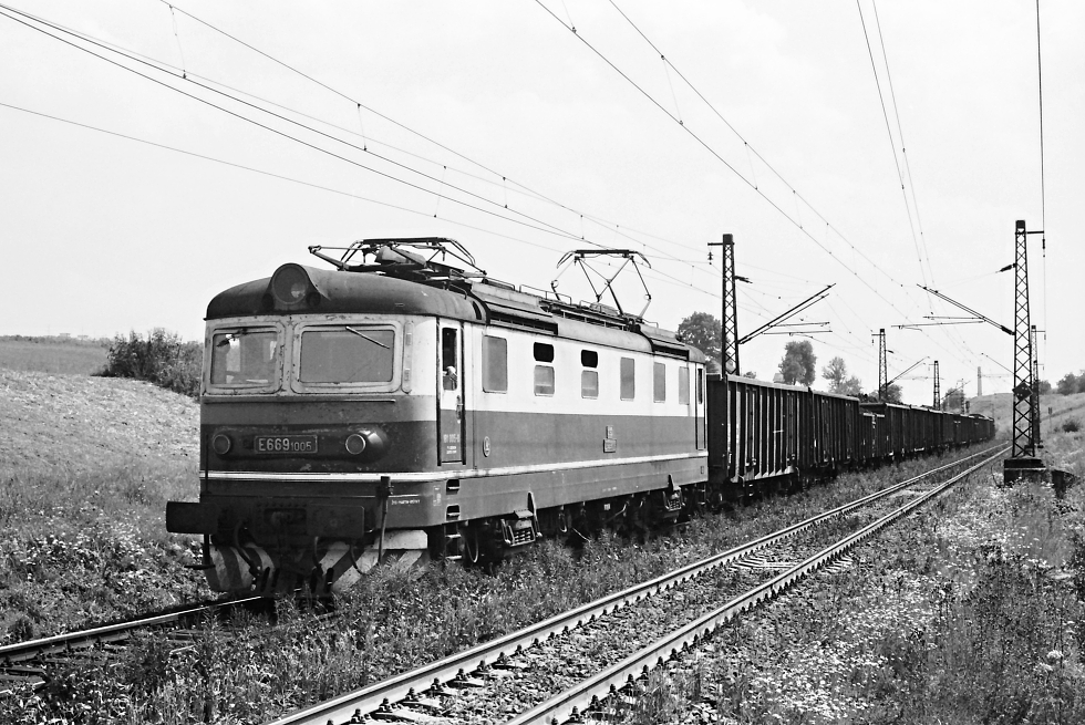 E669.1005
