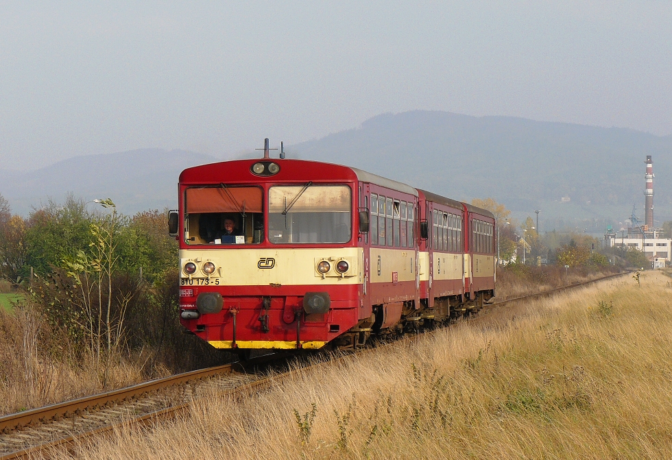 810 173-5
