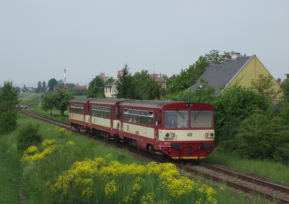 810 395-4