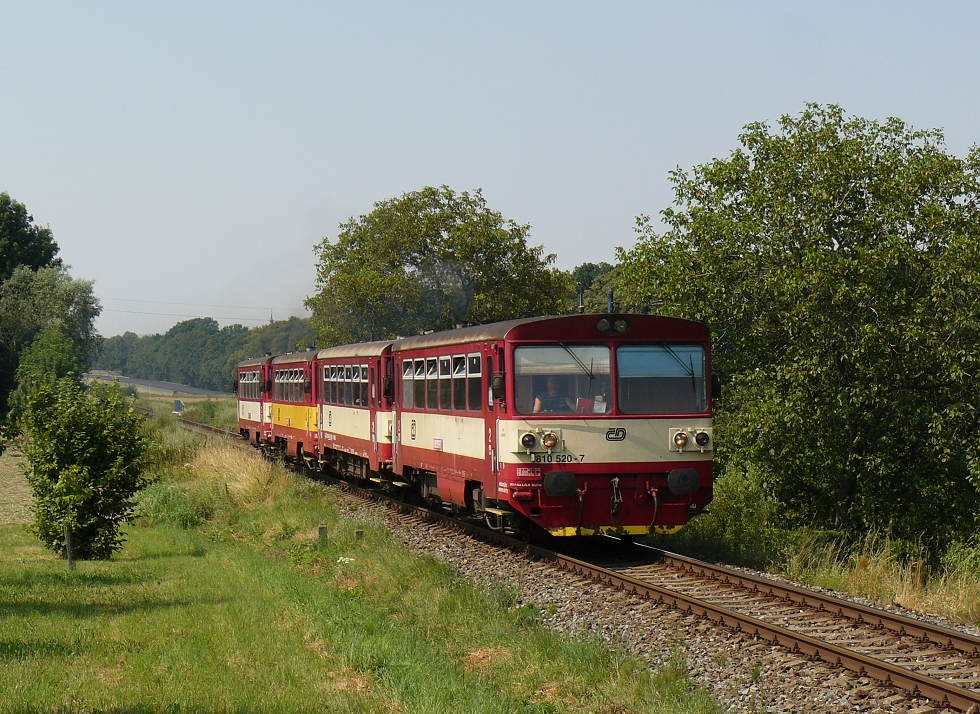 810 520-7