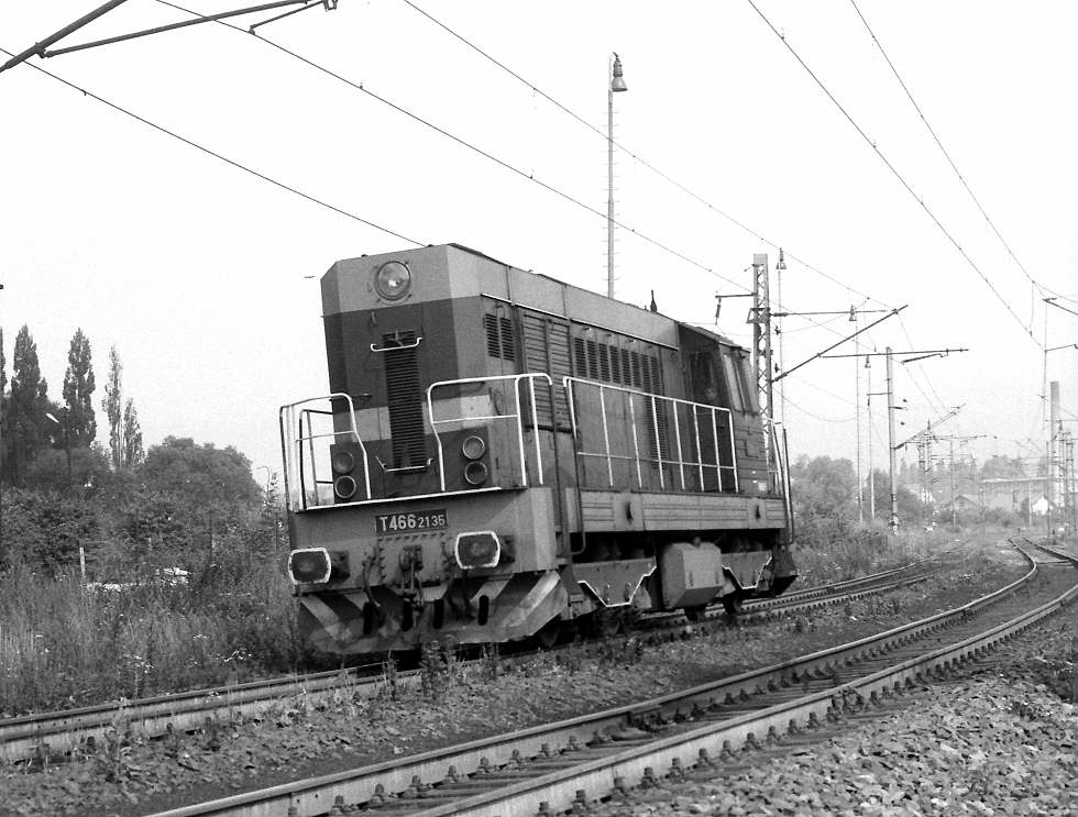 T466.2135
