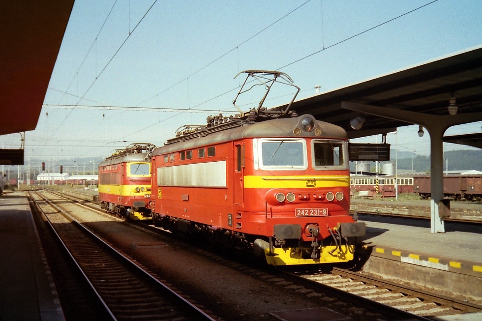 242 231-9