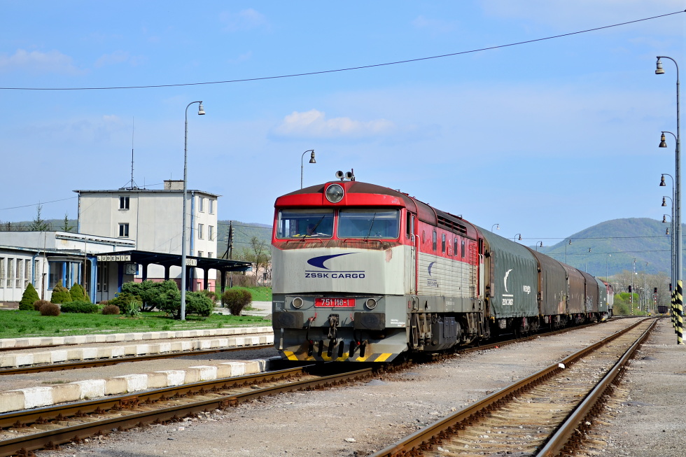 751 118-1