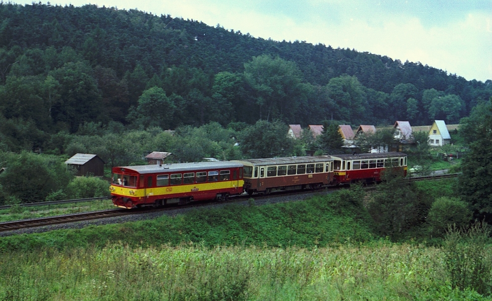 810 339-2