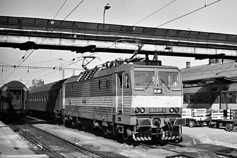 363 005-0