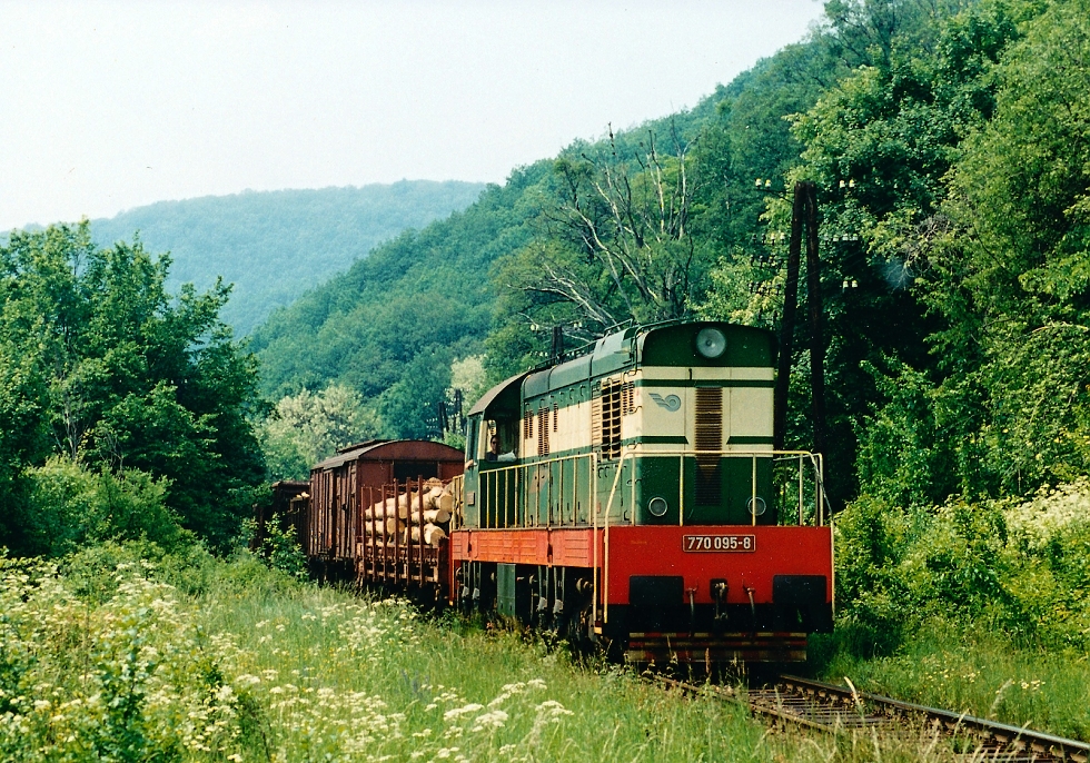770 095-8