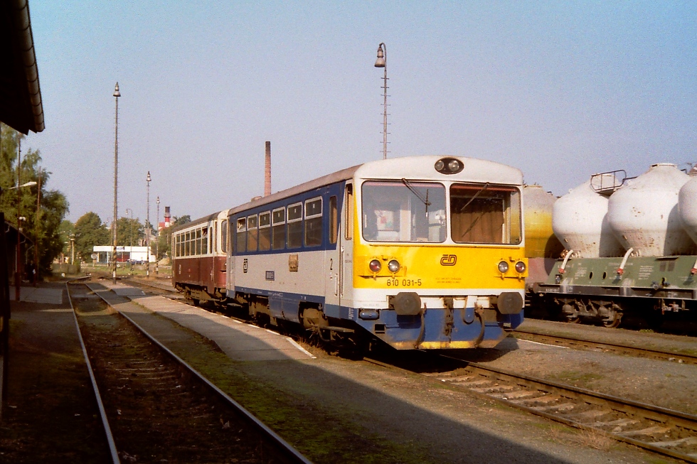 810 031-5