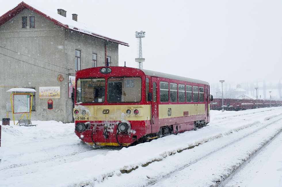 810 569-4
