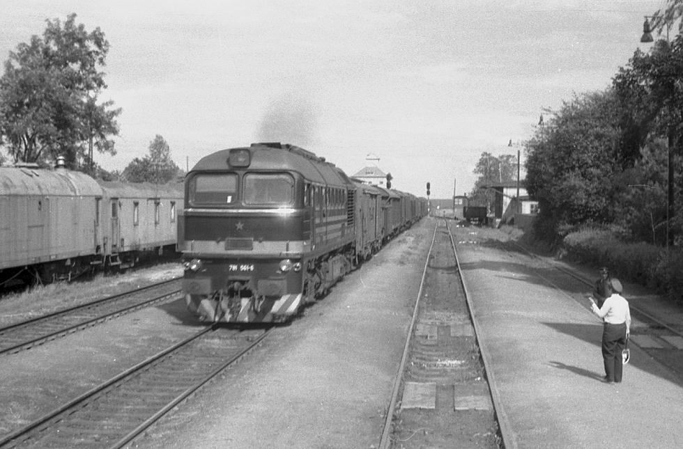 781 561-6