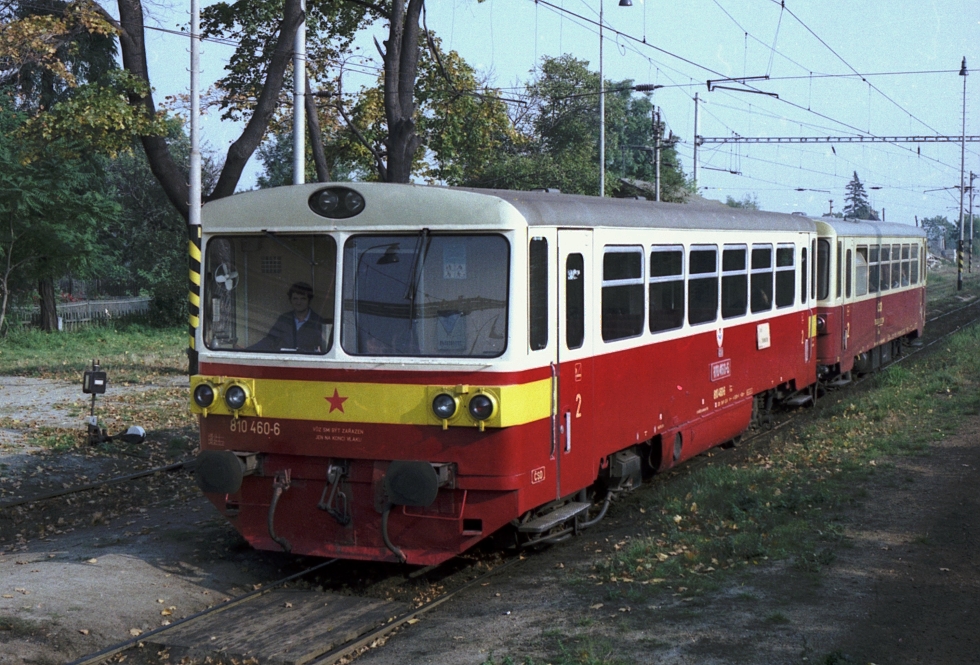 810 460-6