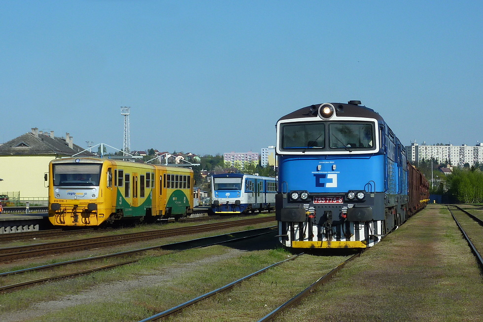 753 775-6