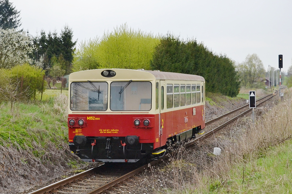 810 604-9