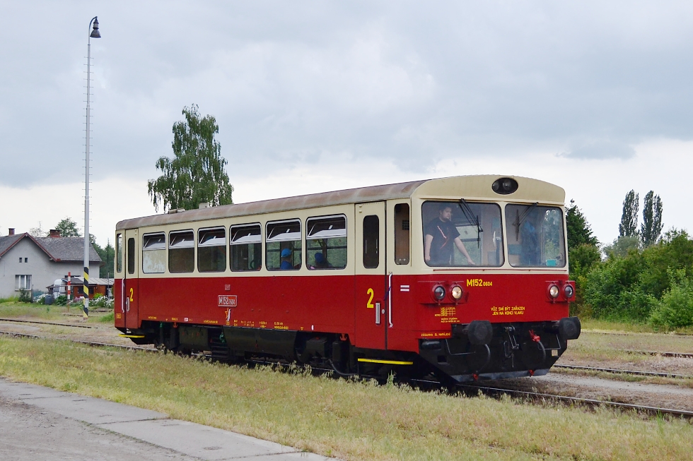 810 604-9