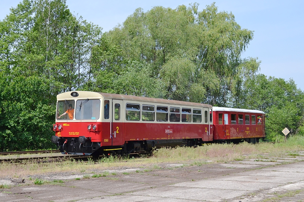 810 604-9
