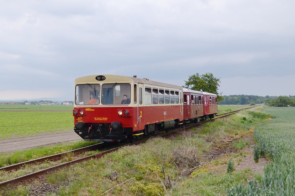 810 604-9