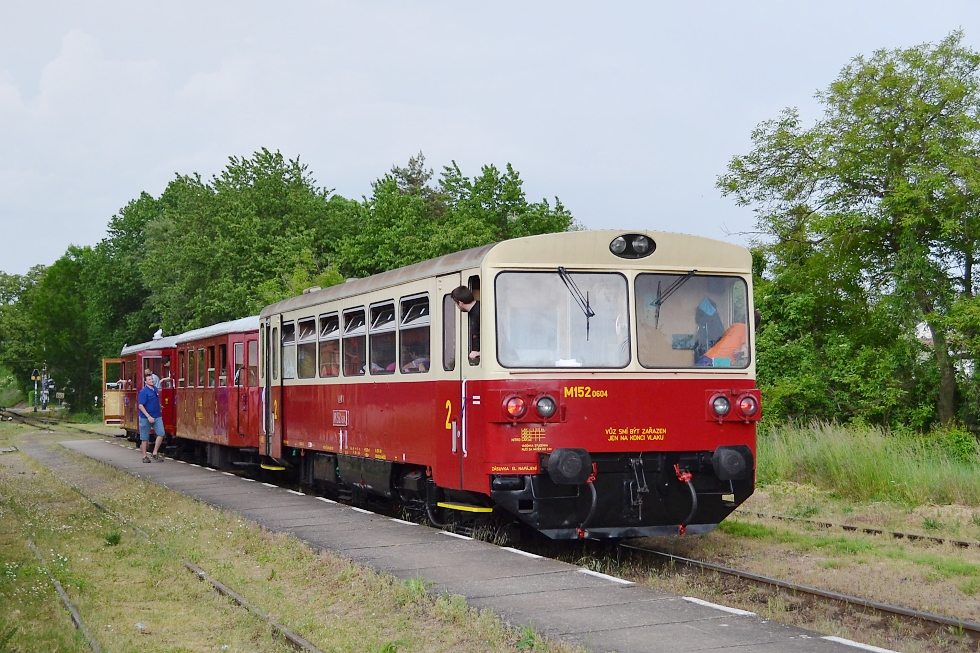 810 604-9