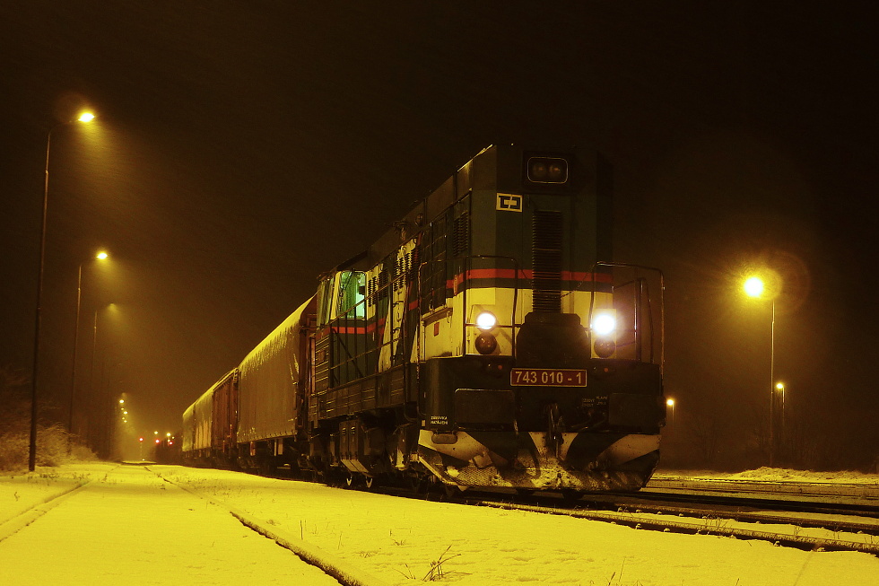 743 010-1