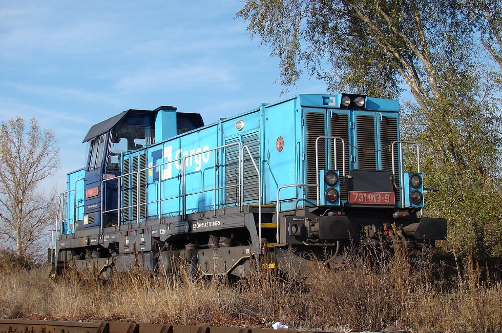 731 013-9
