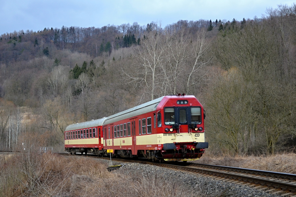 843 005-0