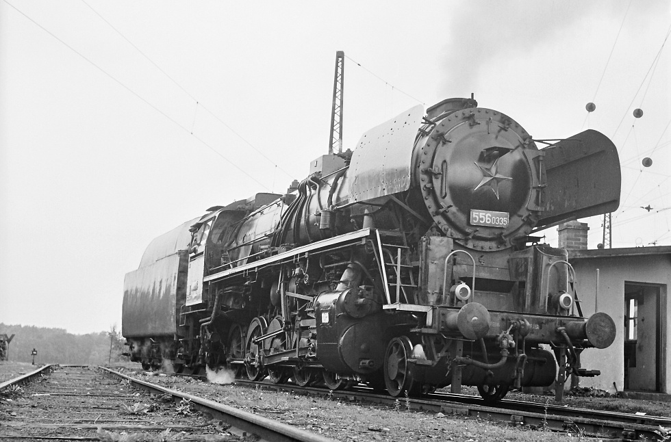 556.0335