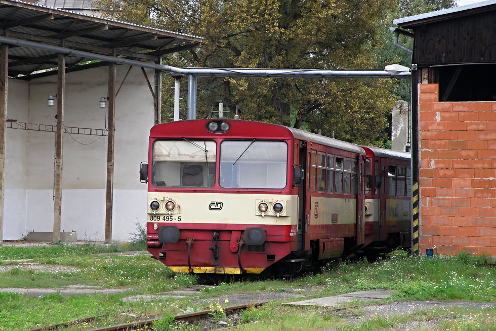 809 495-5