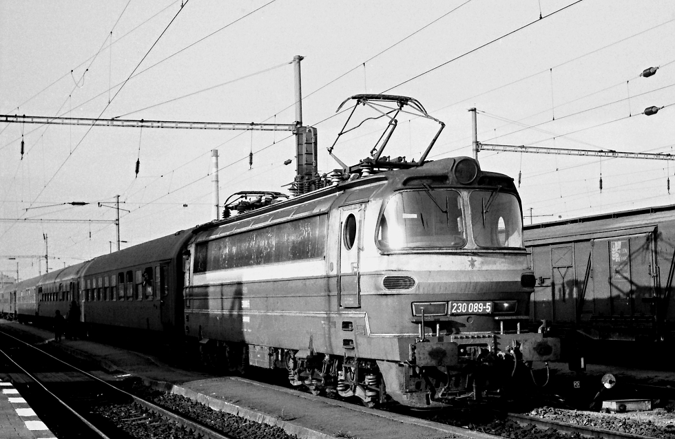 230 089-5